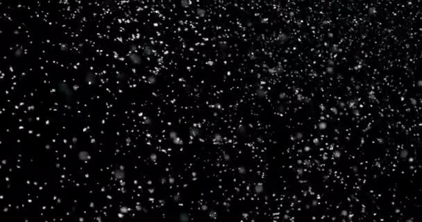 Schnelle Schneefliegen auf schwarzem Hintergrund — Stockvideo