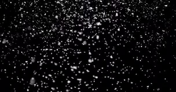 Flocons de neige blancs flottant dans l'air — Video