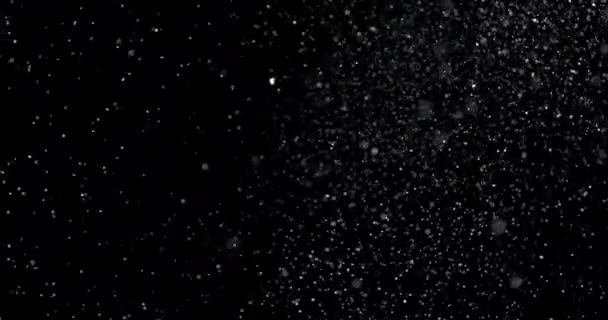 Copos de nieve blancos sobre fondo negro — Vídeo de stock