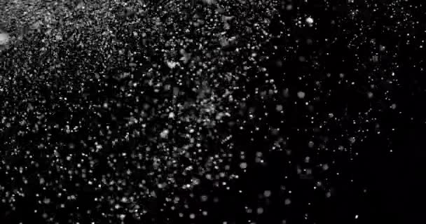 Pluie de neige tombant la nuit — Video