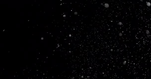 Snöflingor faller från himlen — Stockvideo