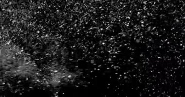 Havada süzülen kar taneleri