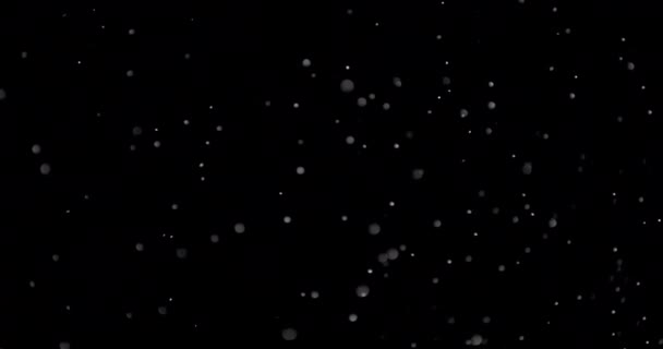 Ventisca de nieve por la noche — Vídeo de stock