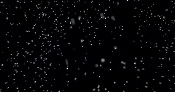 Снежинки падают ночью — стоковое видео