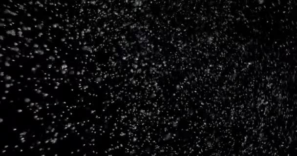 Snöflingor faller i långsamma rörelser — Stockvideo
