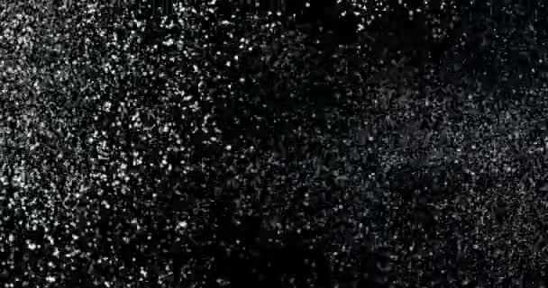 Snöstorm på svart bakgrund — Stockvideo