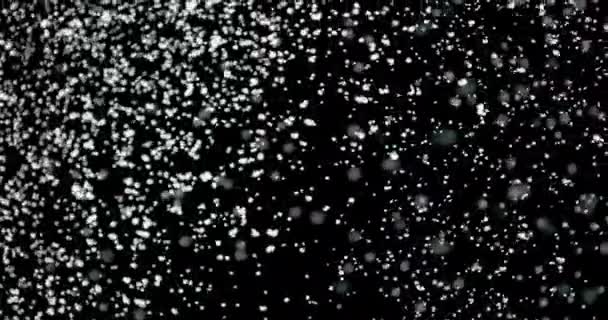 Efecto de nieve auténtico sobre fondo negro — Vídeo de stock