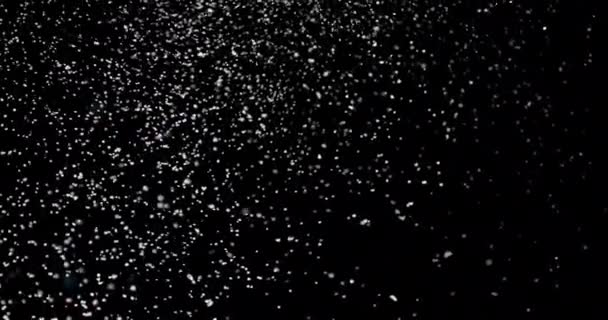 Echter Schnee Auf Schwarzem Hintergrund Stock Footage Videos C Mputsylo 378063944 Depositphotos
