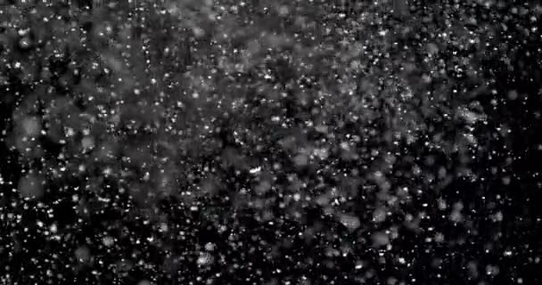 Flocons de neige brillants dans les airs — Video