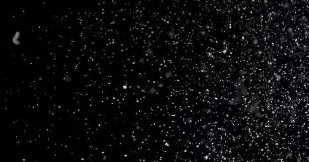Снежинки, падающие в медленном движении — стоковое видео