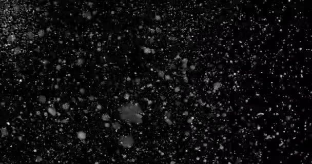 Chute de flocons de neige sur fond noir — Video