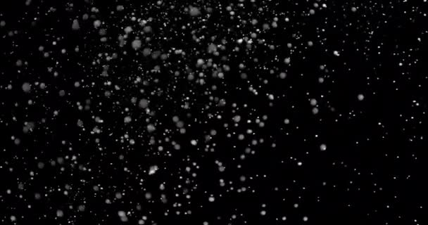 Vita snöflingor faller långsamt — Stockvideo