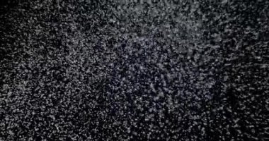 Siyah Arkaplan Üzerinde Otantik Kar Efekti