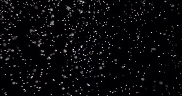 Sneeuwvlokken zwevend in de lucht — Stockvideo