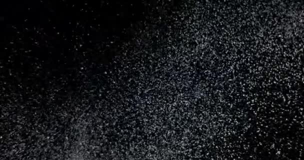 Glitter snöfall på svart bakgrund — Stockvideo
