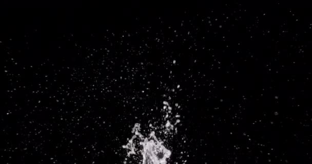 Splattering Water op een zwarte achtergrond. — Stockvideo