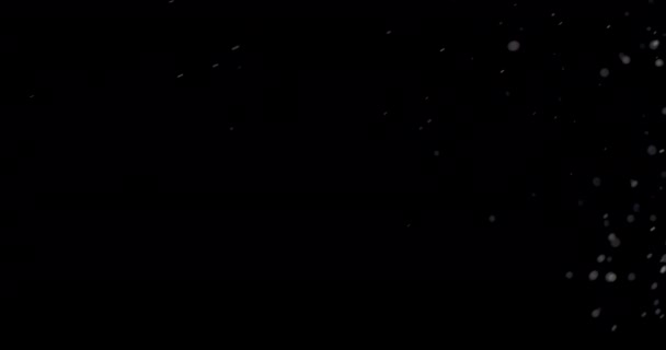 水滴マクロ — ストック動画