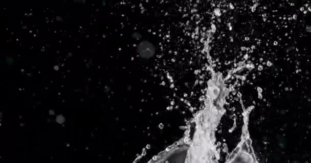 Víz fröccsenése — Stock videók