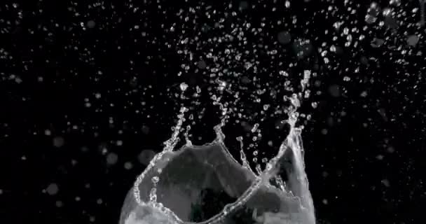 Salpicar agua sobre un fondo negro. — Vídeo de stock