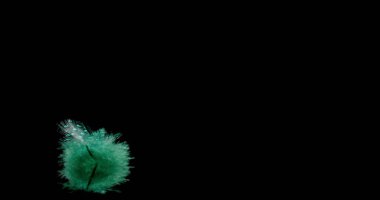 Siyah arka planda düşen akuamarin tüyü.