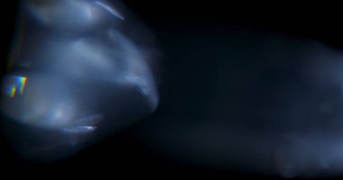 Prism Gökkuşağı Işığı Siyah Arkaplan 'da
