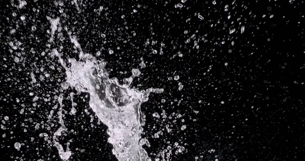 spray of water bursting from the bottom of the screen and water droplets fall down against the black background.