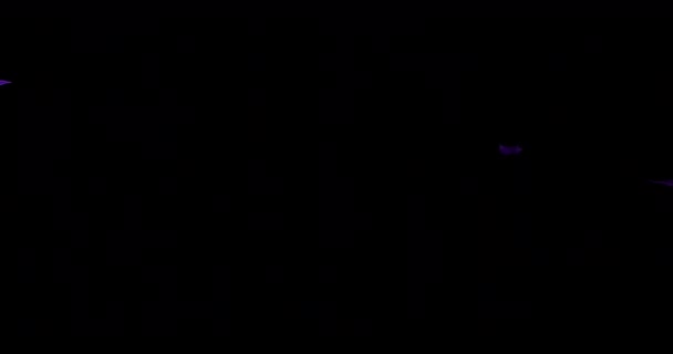 검은 배경 위에 떠 있는 독특 한 색깔의 깃털 — 비디오