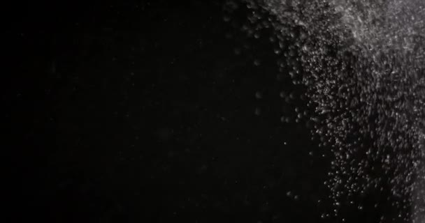 Pulver isolert på svart bakgrunn – stockvideo