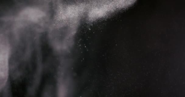 Powder isolated on black background — Stock Video