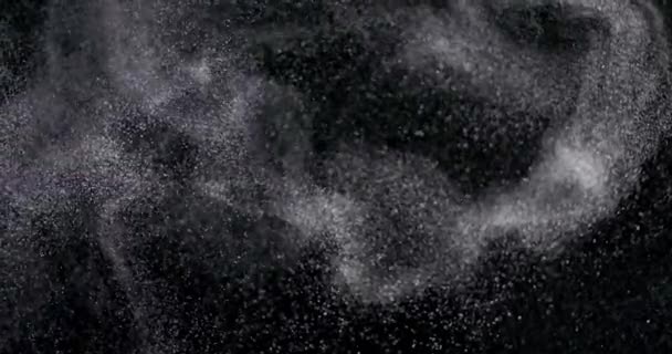 Polvo aislado sobre fondo negro — Vídeo de stock
