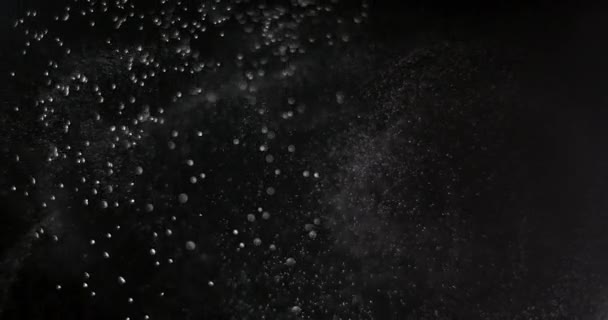 Powder isolated on black background — Stock Video