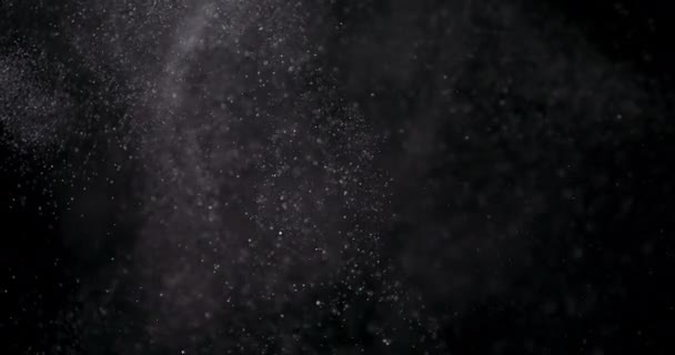 Powder isolated on black background — Stock Video