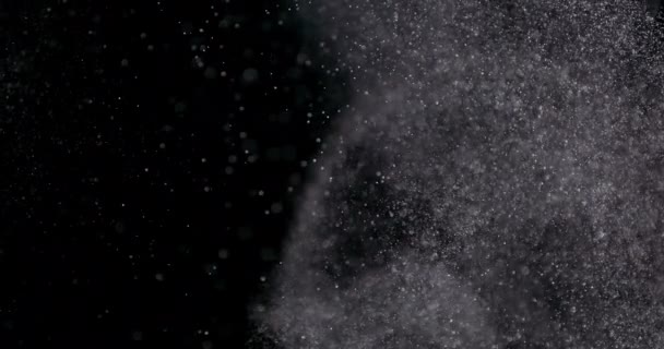 Puder isoliert auf schwarzem Hintergrund — Stockvideo