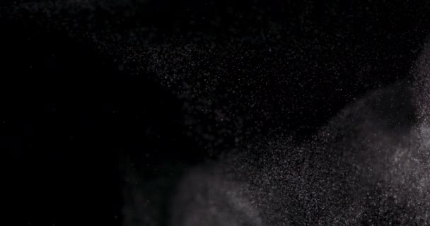 Порошок ізольований на чорному тлі — стокове відео