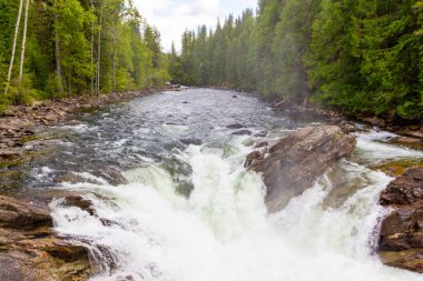 Murtle Nehri ve su Kanada 'daki British Columbia' ya dökülüyor