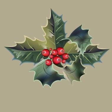 Holly yaprakları ve beyaz bir arka plan üzerinde meyveleri. Noel holly.