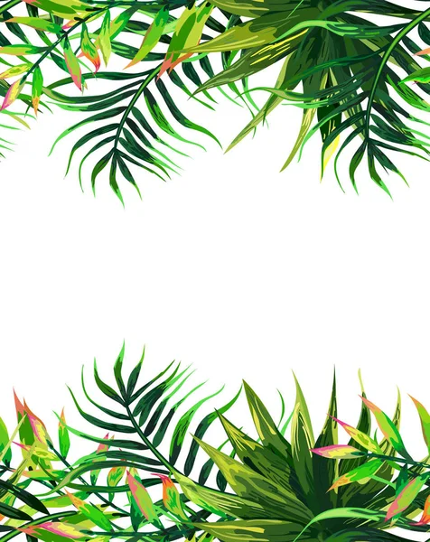 Quadro Folhas Tropicais Fundo Design Floral — Vetor de Stock