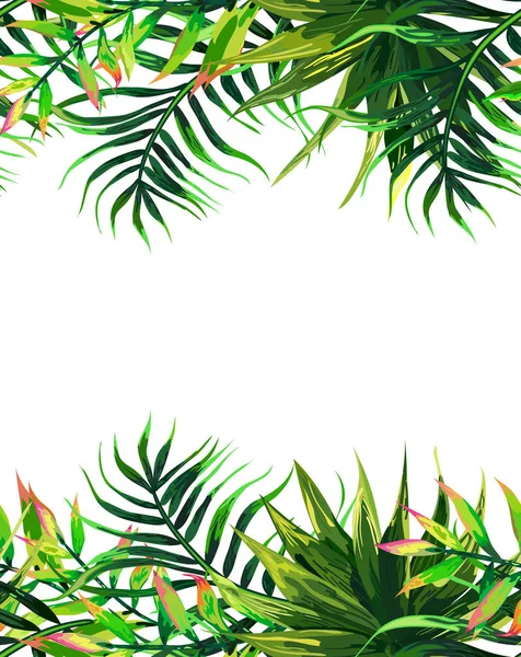 Marco Hojas Tropicales Fondo Diseño Floral — Vector de stock