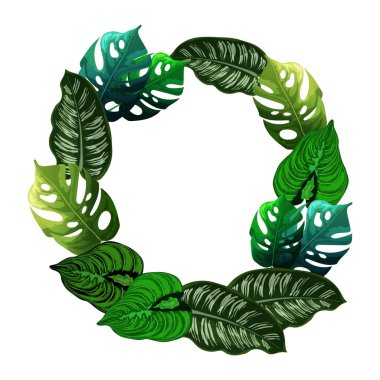 Tropikal yaprak arka plan. Tropikal yaprak. 