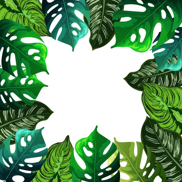 Fondo Hoja Tropical Hojas Tropicales — Vector de stock