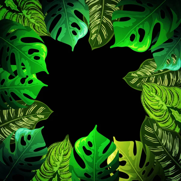Tropischen Blatt Hintergrund Tropische Blätter — Stockvektor