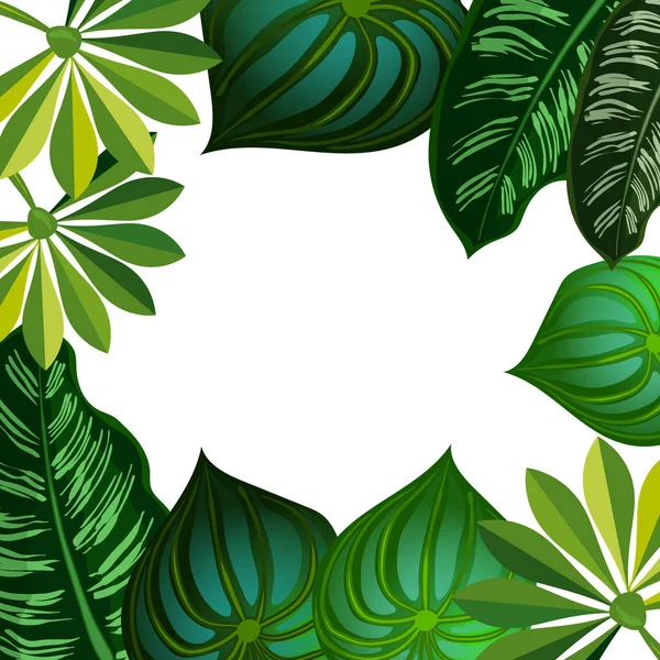 Tropischen Blatt Hintergrund Tropische Blätter Stockvektor