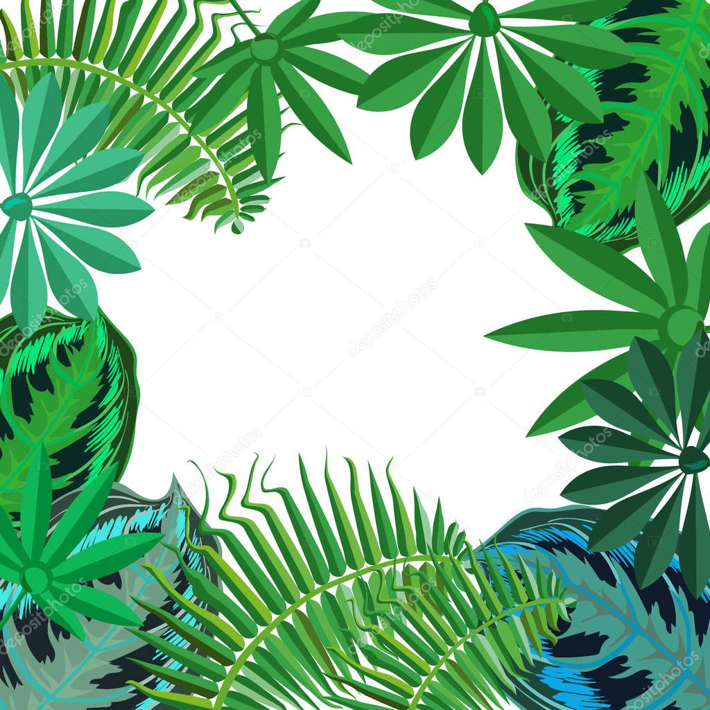 Tropical leaf background. Tropical leaves. 