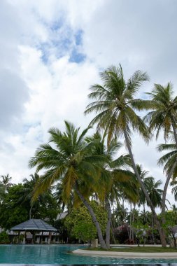 Yüzme Havuzu yanında plaj