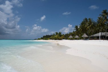 Maldivler tropikal bir adada geniş kumlu plaj