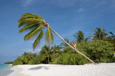Genç bir adam palmiye ağacına tırmandı. Arka planda turkuaz su