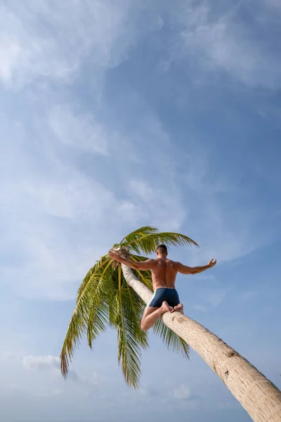 Молодой парень залез на пальму на необитаемый остров, чтобы позвать на помощь. . — стоковое фото