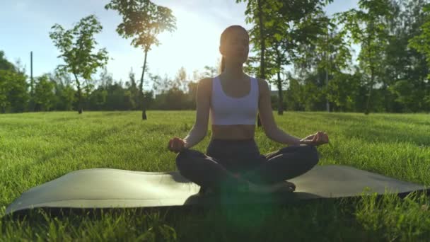 Genç kadın yogası iç huzuru keşfetmek için yoga yaparken sakin ve meditasyon yapıyor.. — Stok video