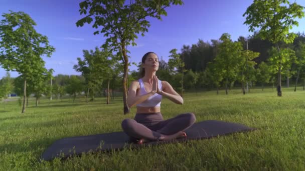 Jeune femme yoga en plein air garder le calme et médite tout en pratiquant le yoga pour explorer la paix intérieure. — Video