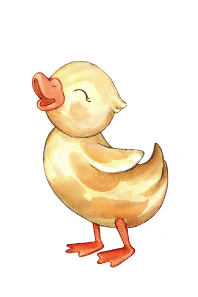 手绘水彩动物鸭 可爱有趣的性格 适合婴儿衣服打印 儿童贺卡 有趣可爱的林地动物字符 — 图库照片